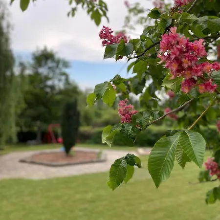 Hello Balcsi Apartmanhaz 3* Tihany