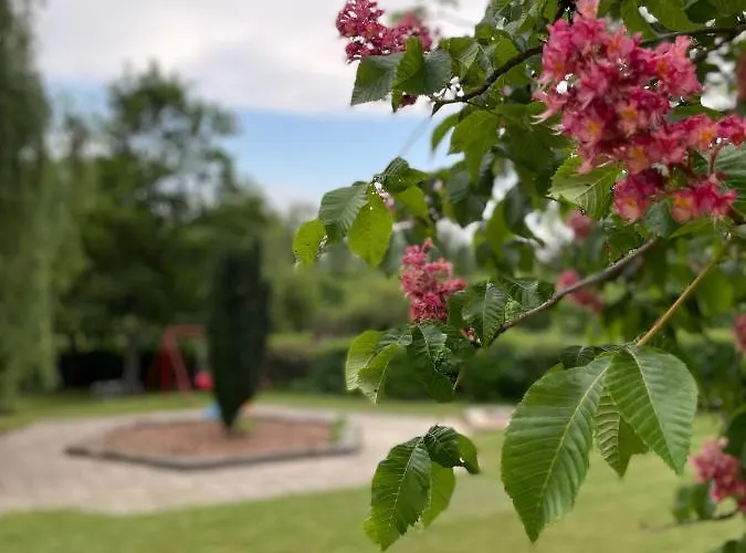 Hello Balcsi Apartmanhaz 3* 티하니