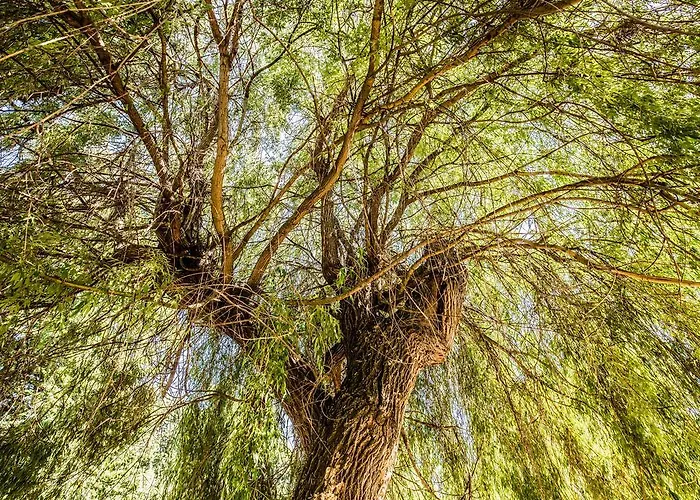 Hello Balcsi Apartmanhaz B&B 3*